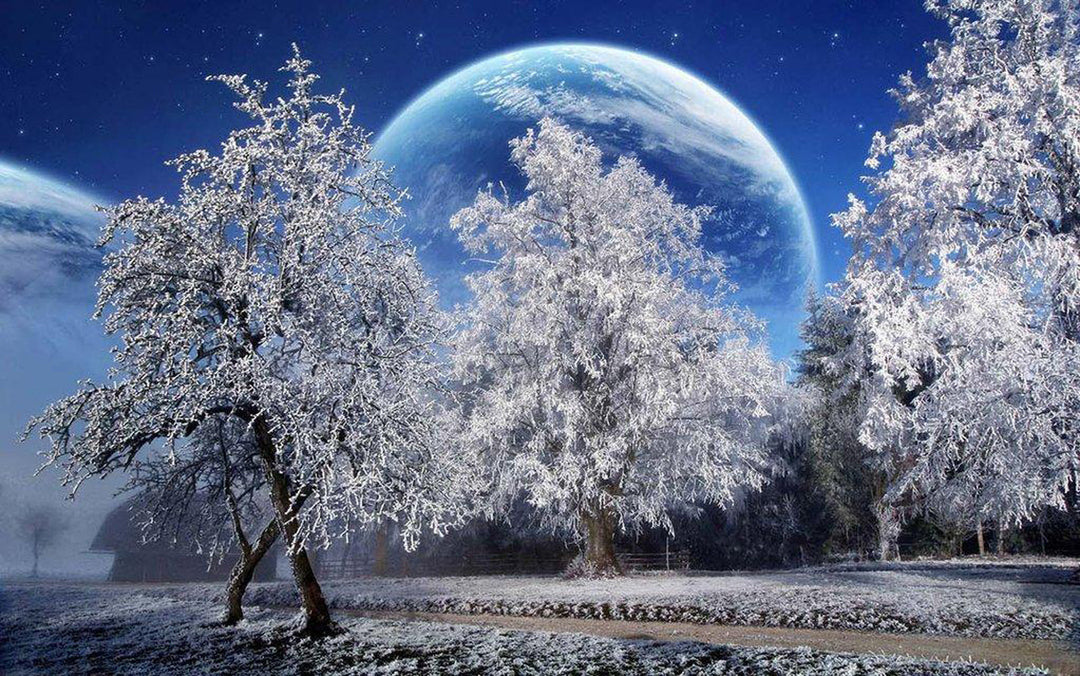 De Winterhemel en de Witte Bomen Diamond Painting