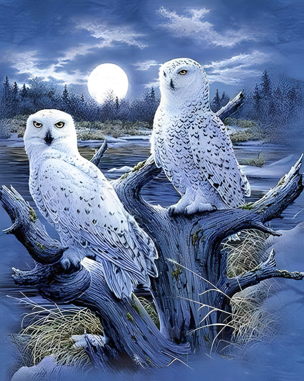 De Witte Uilen in de Boom op een Maanverlichte Nacht Diamond Painting