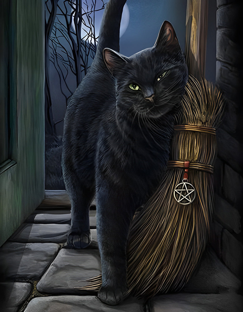 De Zwarte Kat naast de Bezem Diamond Painting