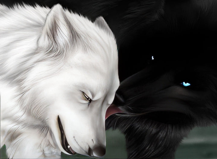 De Zwarte Wolf Likt de Witte Wolf Diamond Painting