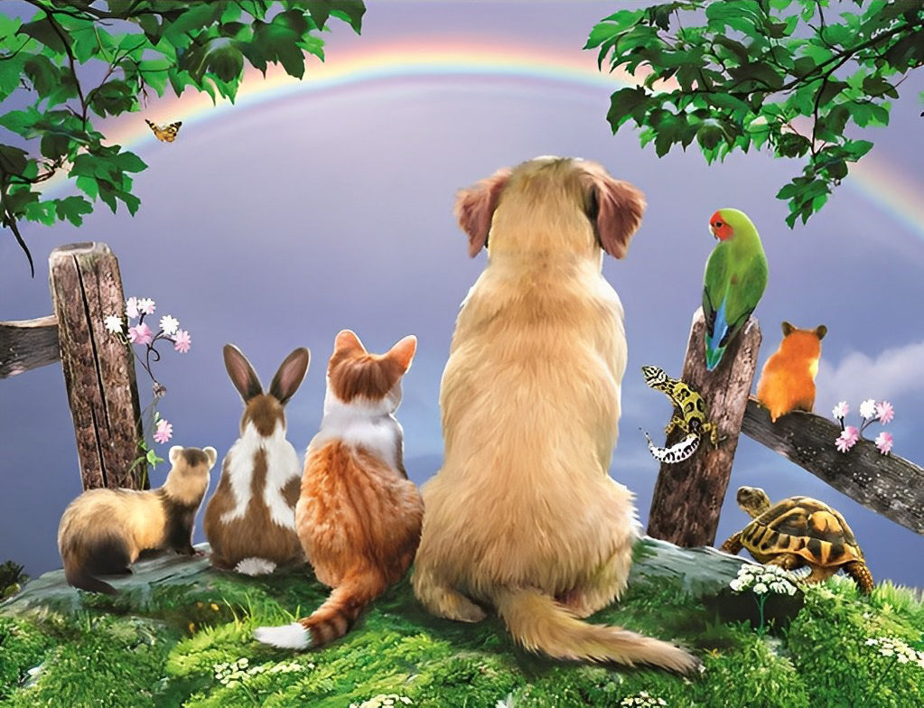 Dieren die naar een Regenboog Kijken Diamond Painting