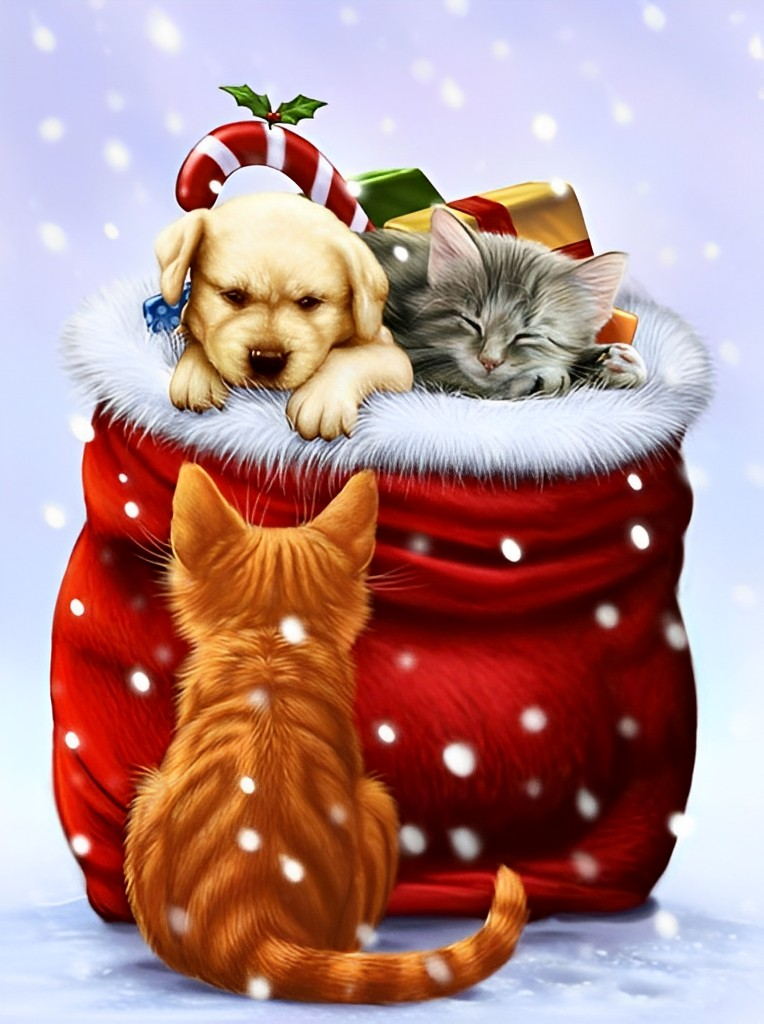 Dieren in Kerstzak Diamond Painting
