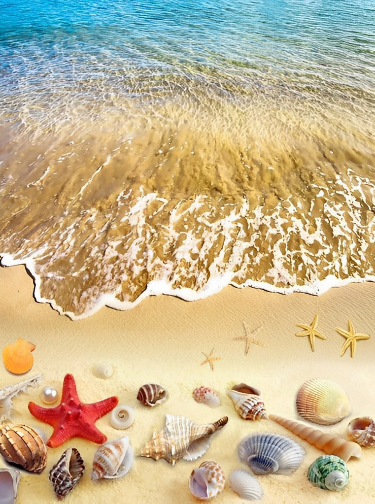 Diverse Zeedieren op het Strand Diamond Painting