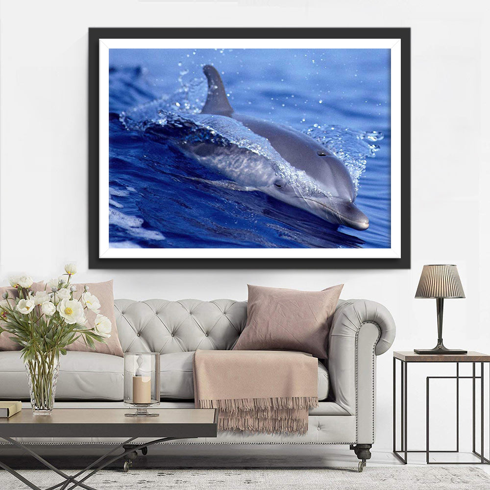 Dolfijn op Zee Diamond Painting