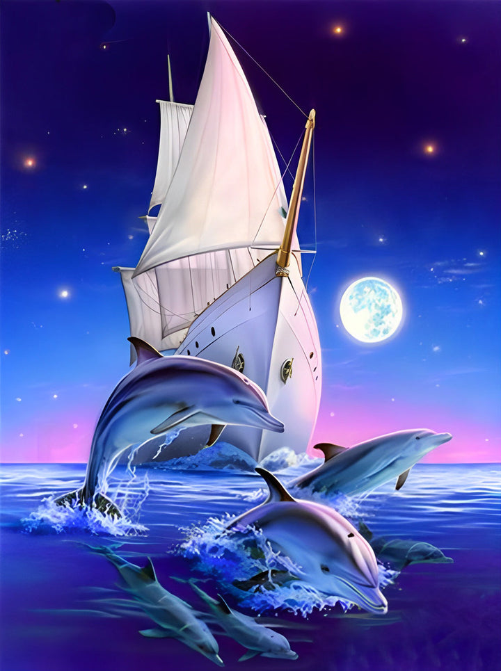 Dolfijnen en Zeilschip in de Nacht Diamond Painting