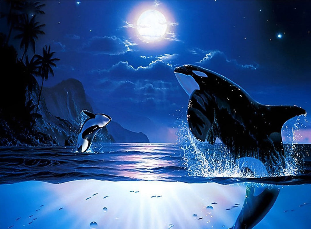 Dolfijnen Springen uit de Zee tijdens Volle Maan Diamond Painting