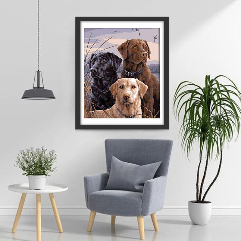 Drie Honden op de Weide aan de Rivieroever Diamond Painting