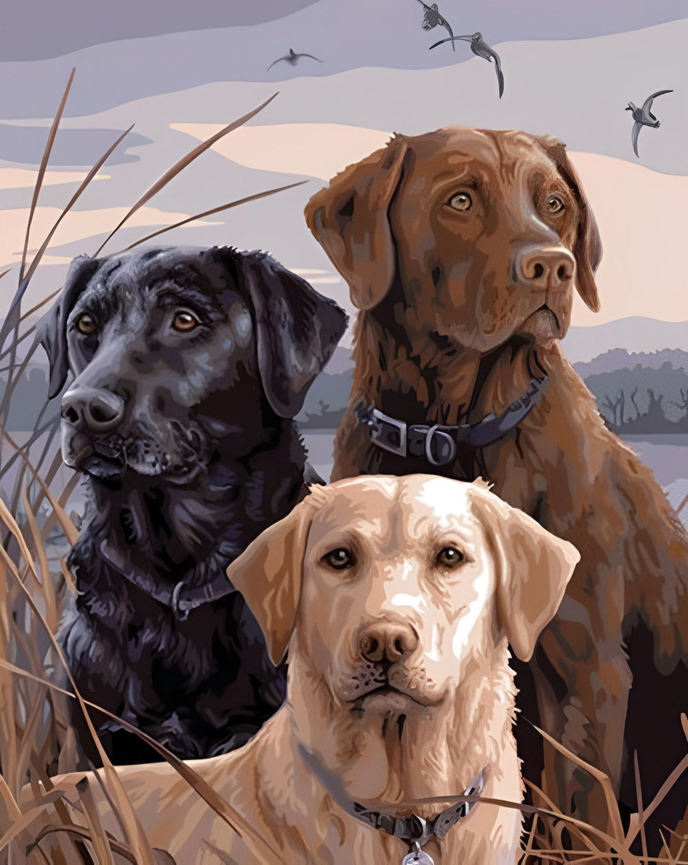 Drie Honden op de Weide aan de Rivieroever Diamond Painting