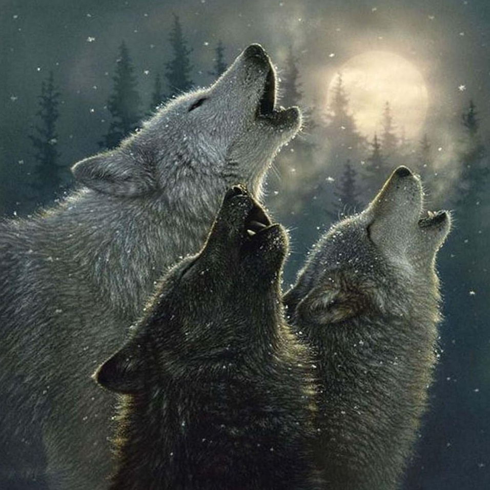 Drie Huilende Wolven Diamond Painting