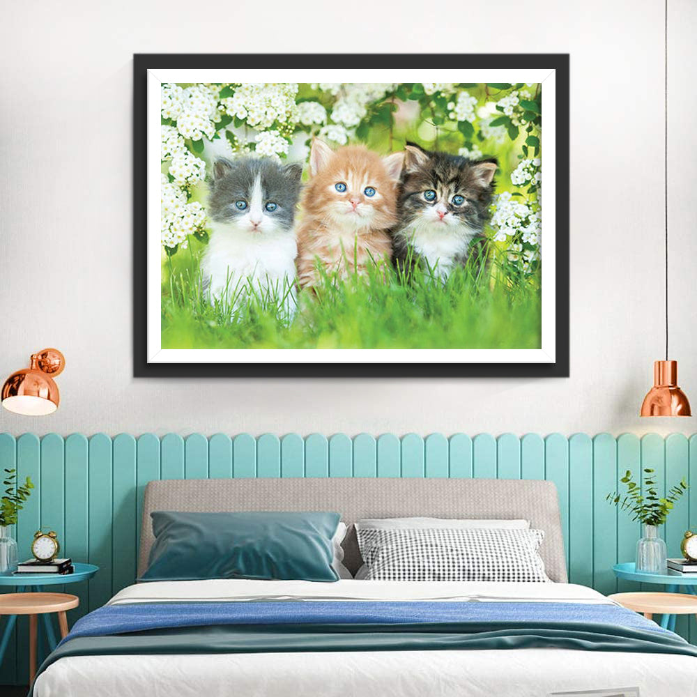 Drie Kittens tussen de Lentebloesems Diamond Painting