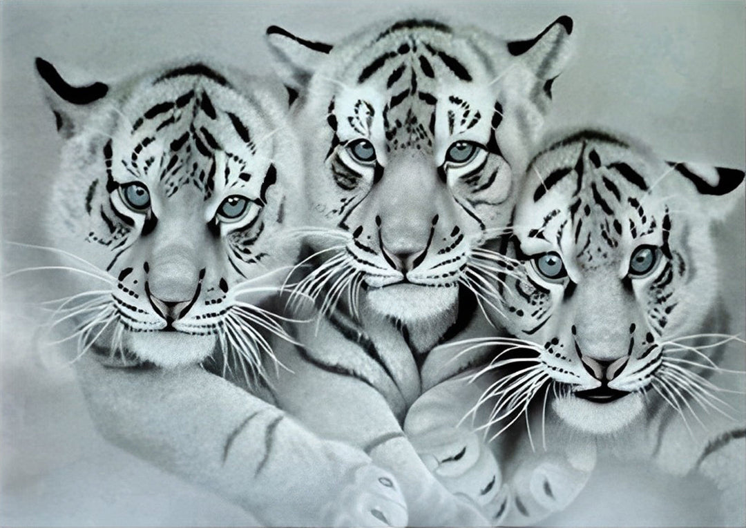 Drie Kleine Tijgers Diamond Painting