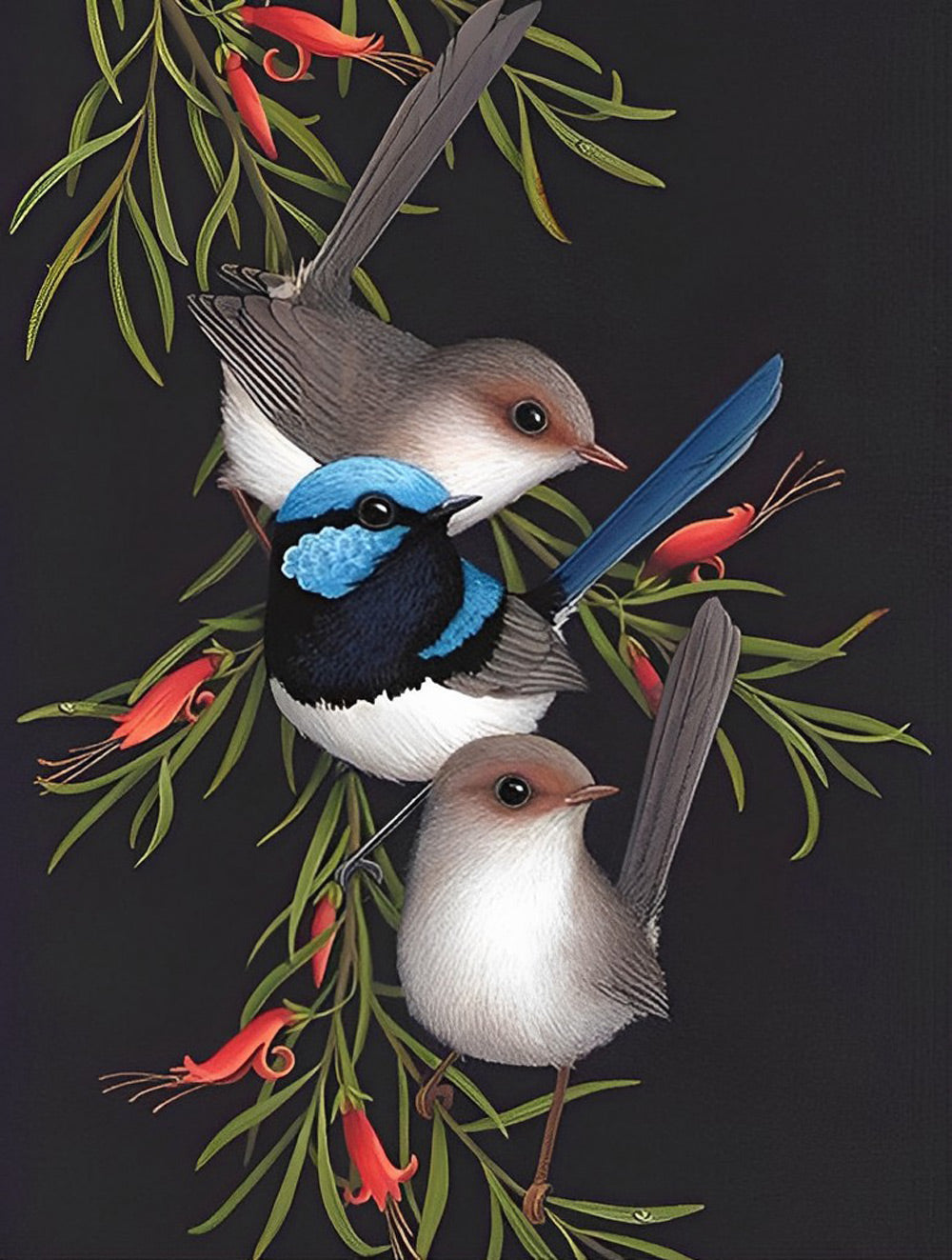 Drie Kleine Vogeltjes Diamond Painting