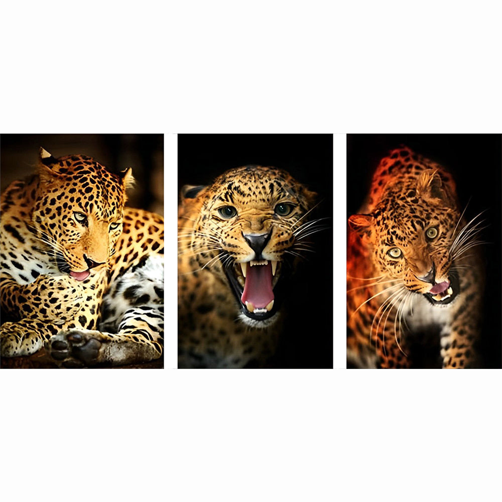 Drie Luipaarden met Verschillende Gevoelens Diamond Painting