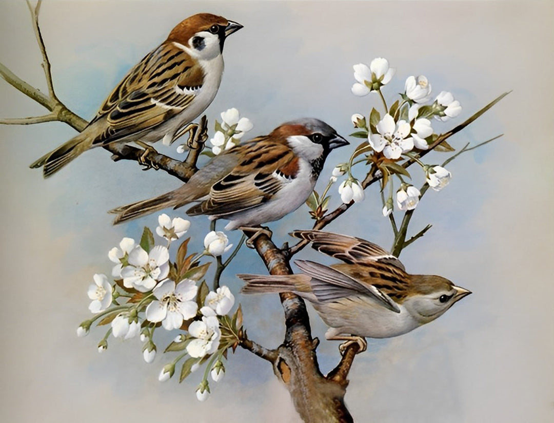 Drie Mussen op een Tak met Witte Bloemen Diamond Painting