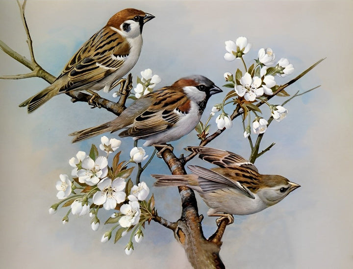 Drie Mussen op een Tak met Witte Bloemen Diamond Painting