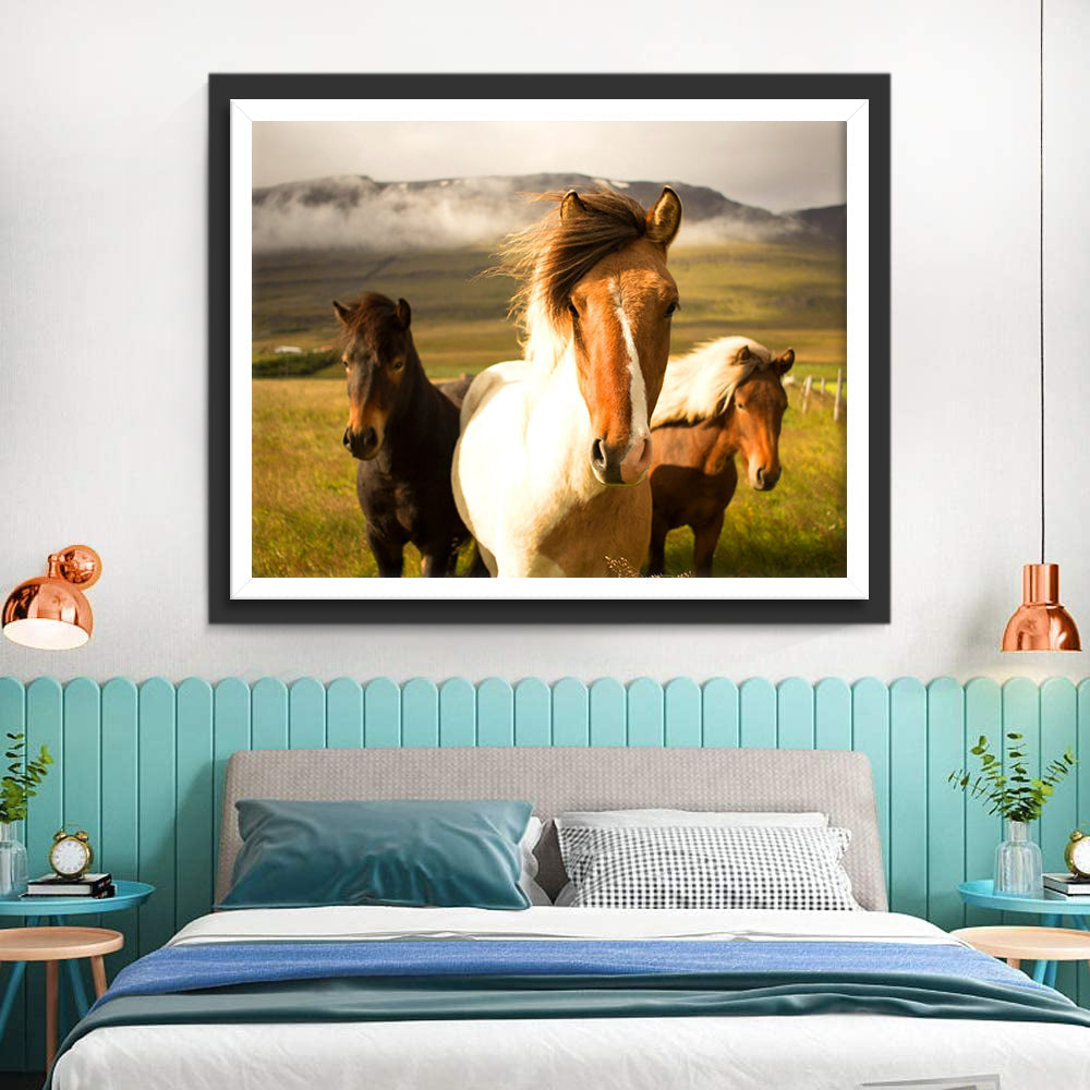 Drie Paarden in de Weide Diamond Painting
