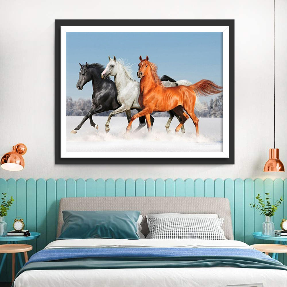 Drie Paarden Zwart Wit en Bruin Diamond Painting
