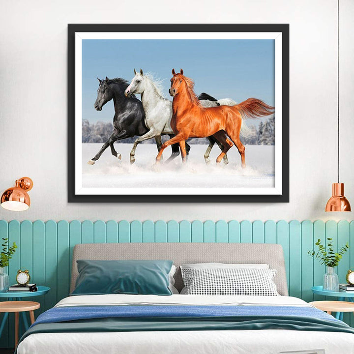 Drie Paarden Zwart Wit en Bruin Diamond Painting