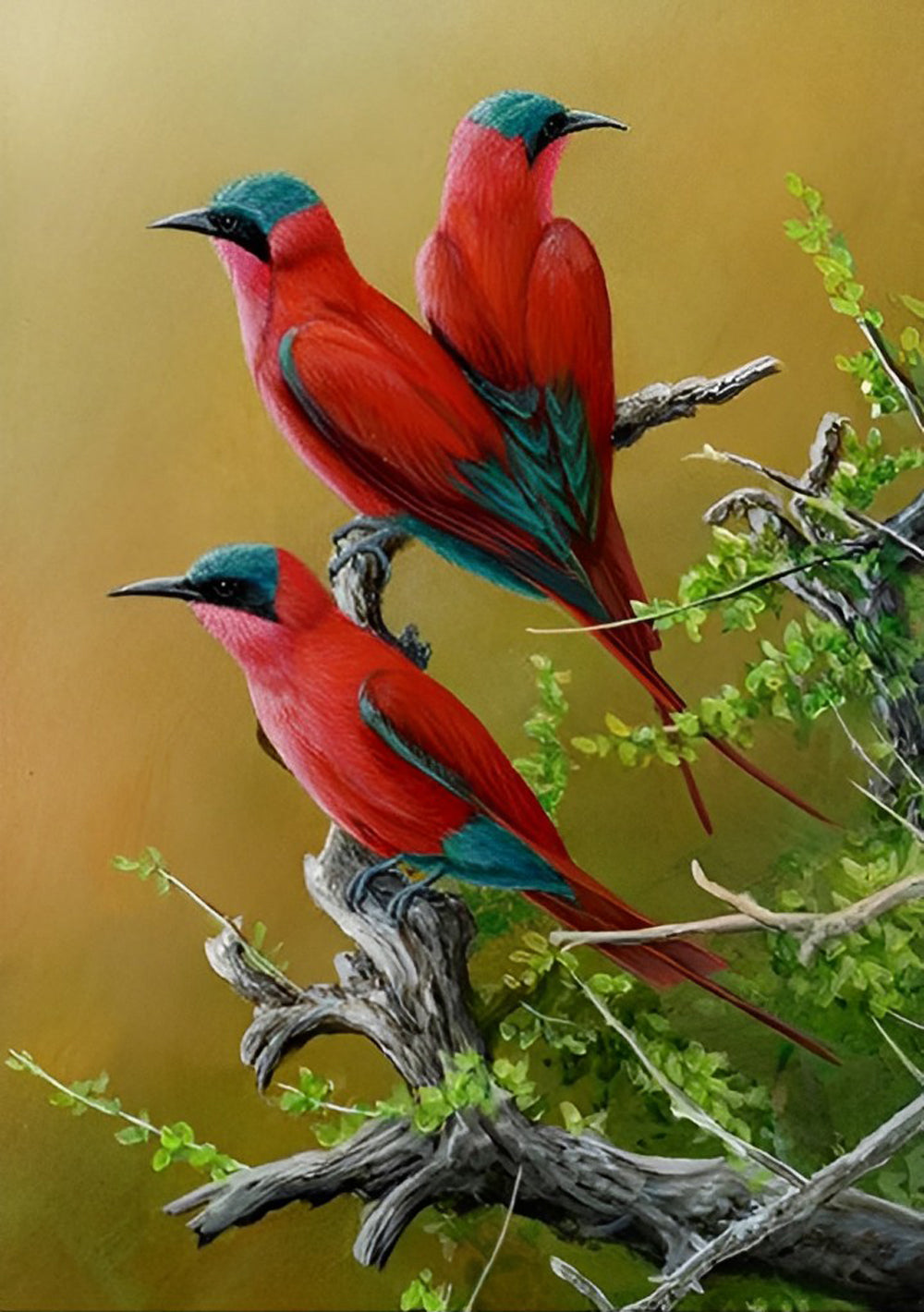 Drie Rode en Groene Vogels Diamond Painting