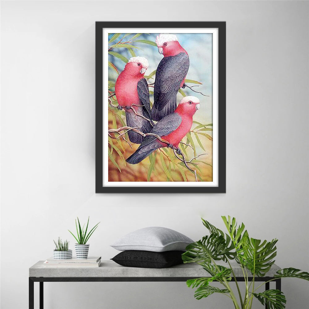 Drie Witkoppige Roze en Grijze Papegaaien Diamond Painting