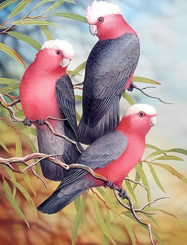 Drie Witkoppige Roze en Grijze Papegaaien Diamond Painting