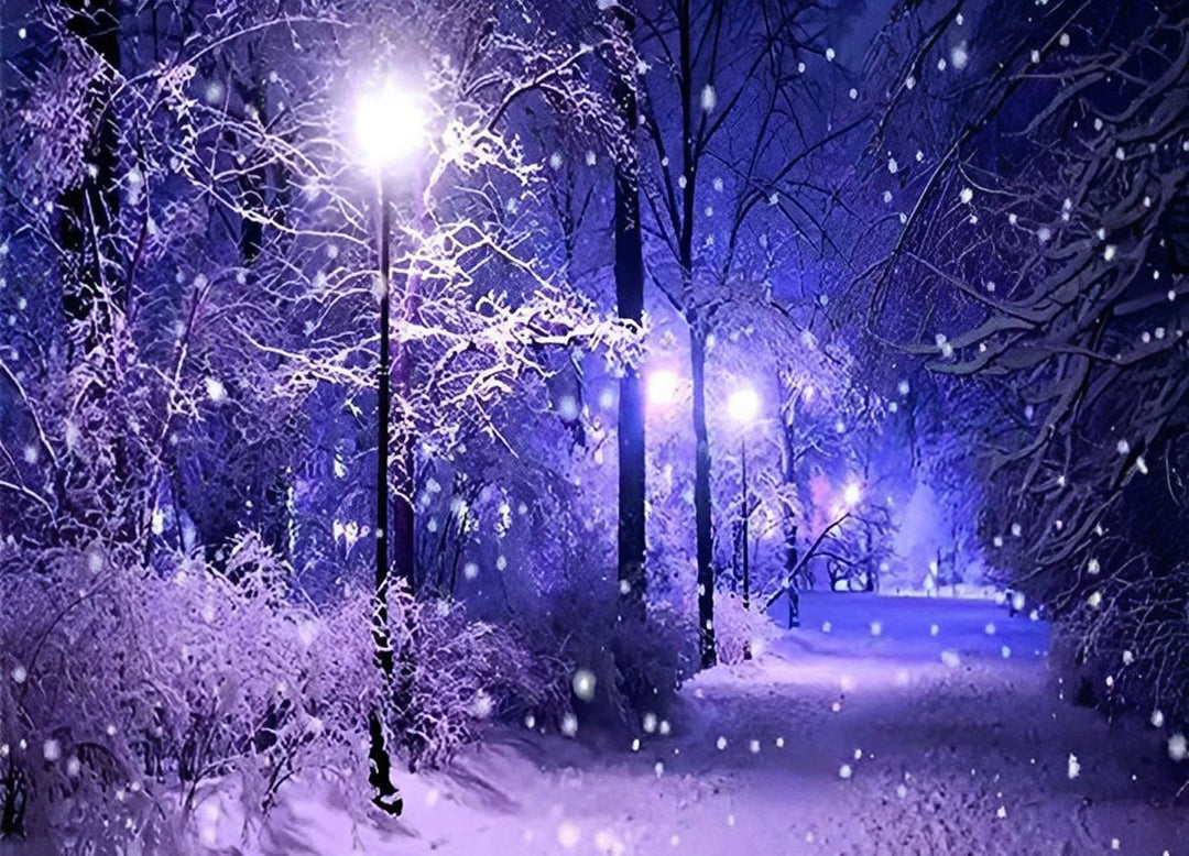 Dromerige Winternacht in het Besneeuwde Bos Diamond Painting