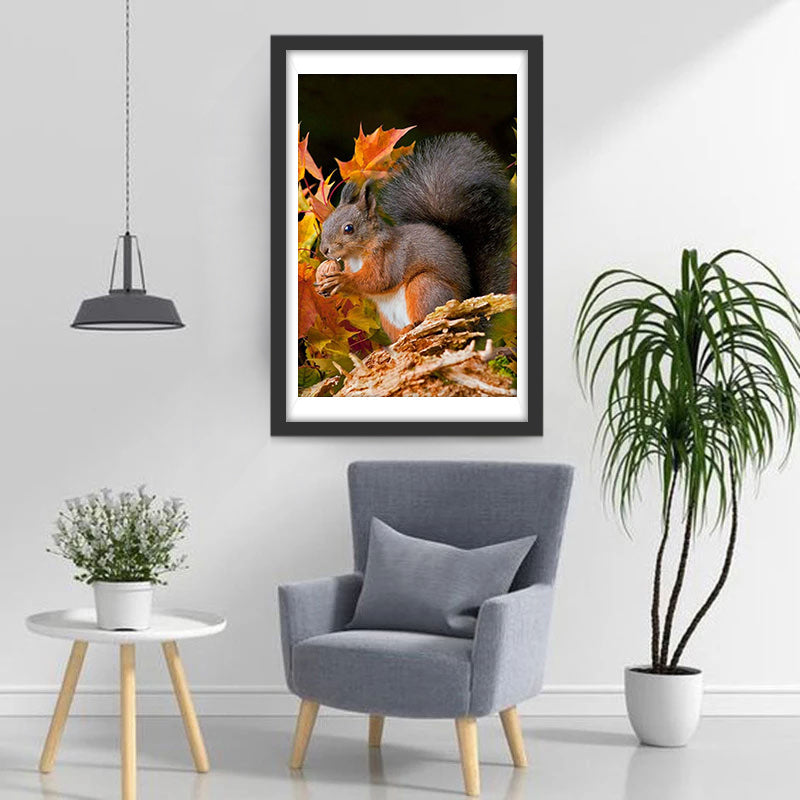 Eekhoorn eet Noten Diamond Painting