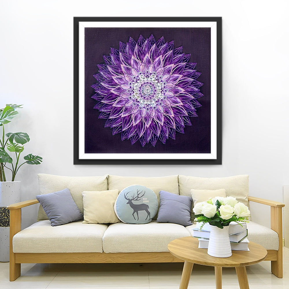 Een Betoverende Radiale Schoonheid in Verborgenheid Diamond Painting