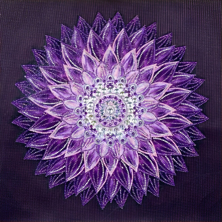 Een Betoverende Radiale Schoonheid in Verborgenheid Diamond Painting