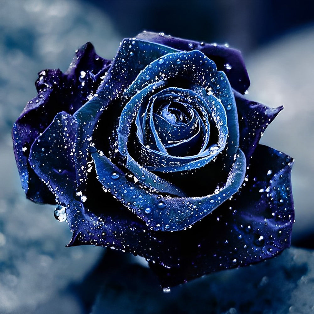 Een Blauwe Roos met Waterdruppels Diamond Painting