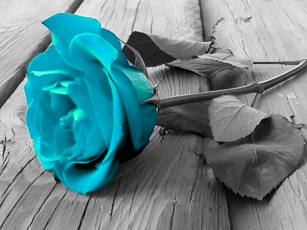 Een Blauwe Roos op Houten Vloer Diamond Painting