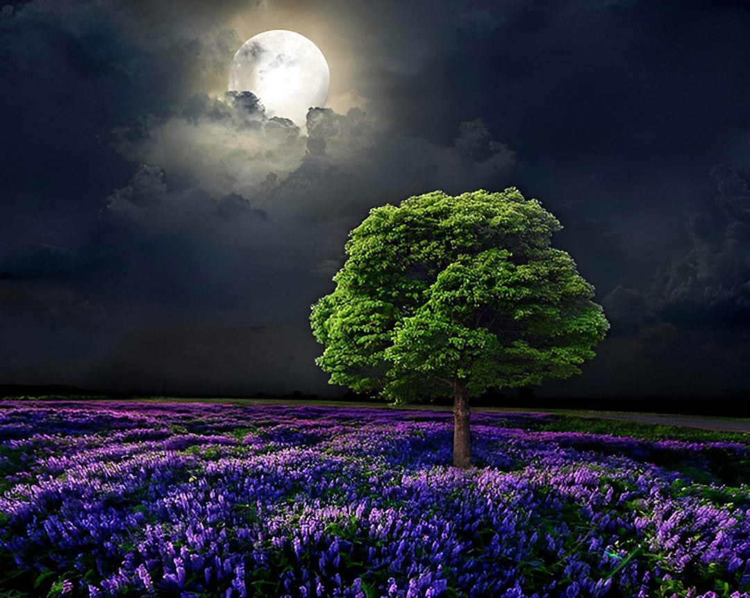 Een Boom in een Lavendelveld bij Volle Maan Diamond Painting