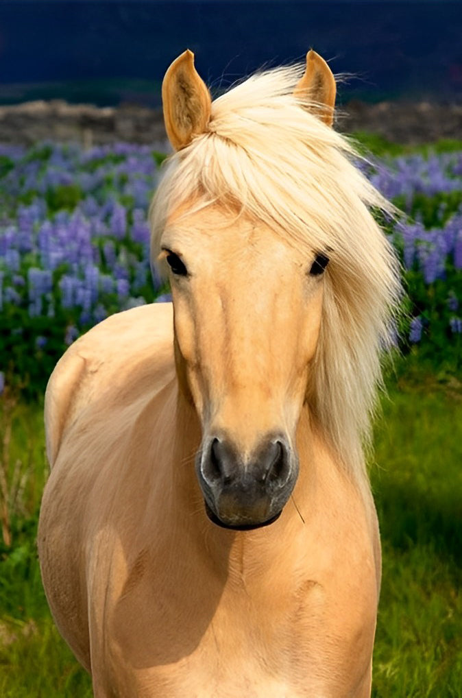 Een Bruin Paard met een Witte Manen Diamond Painting