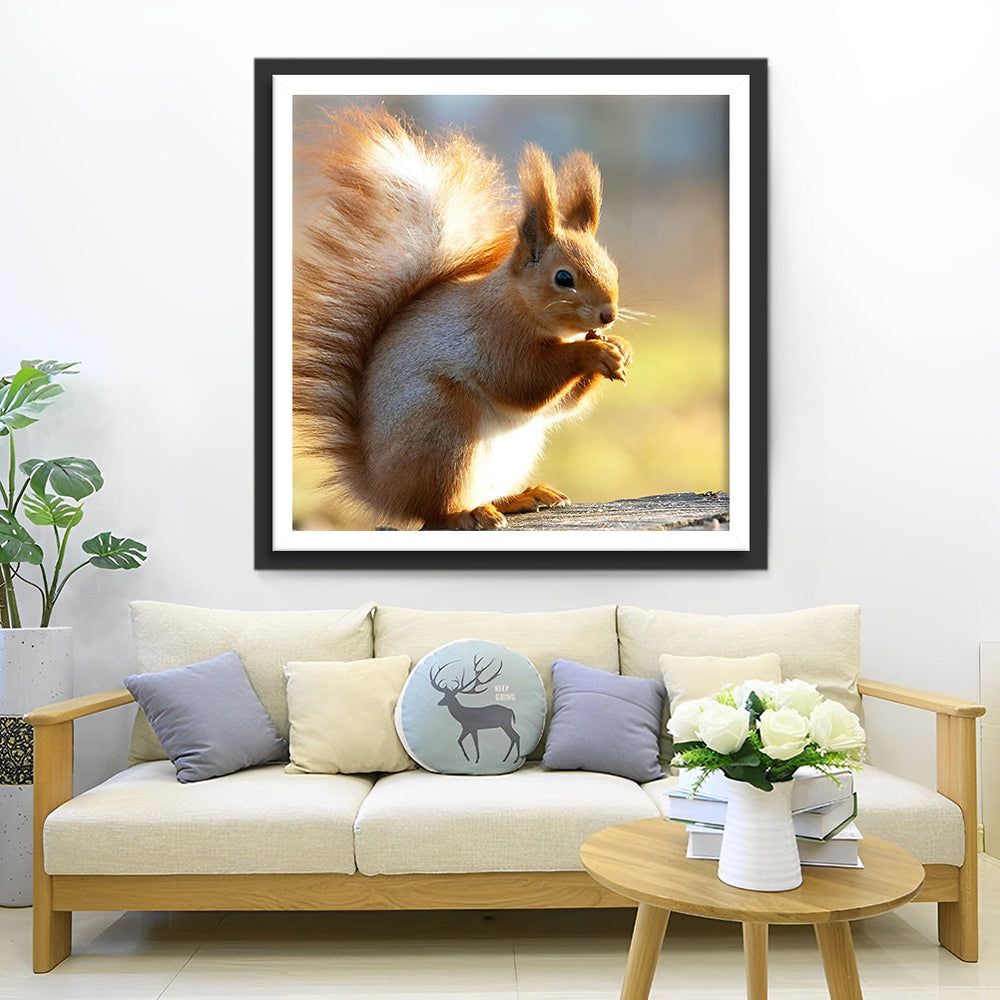 Een Eekhoorn met een Noot Diamond Painting