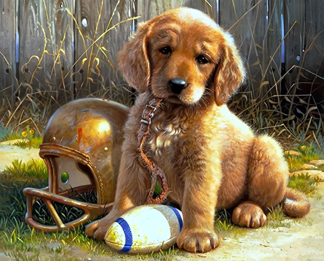 Een Golden Retriever en Bowlen Diamond Painting