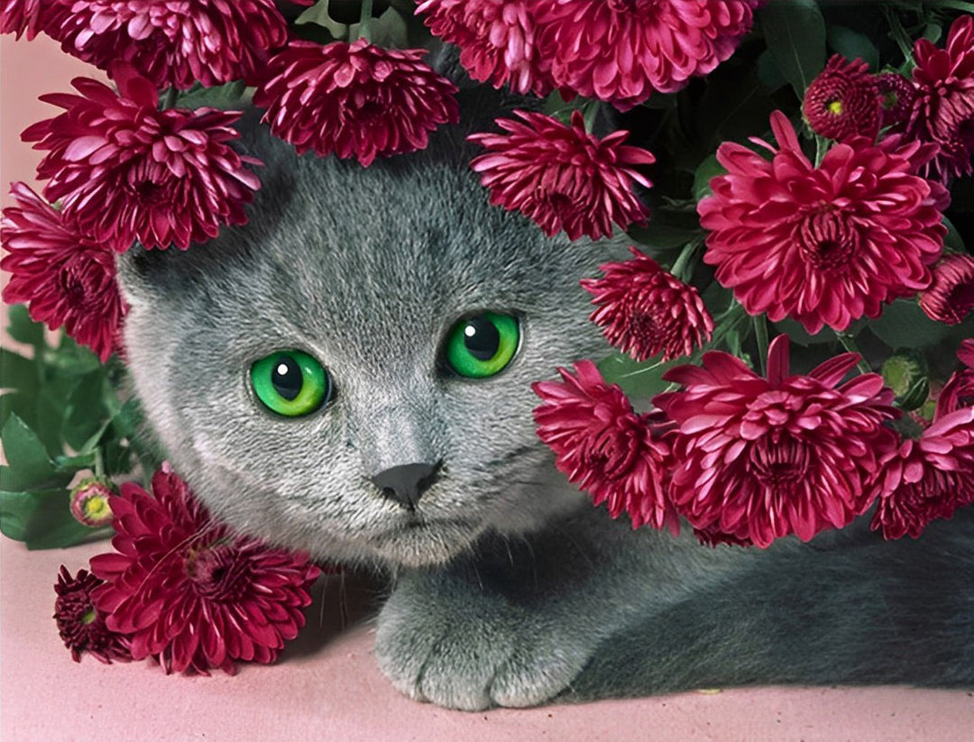 Een Grijze Kat in de Rode Bloemen Diamond Painting