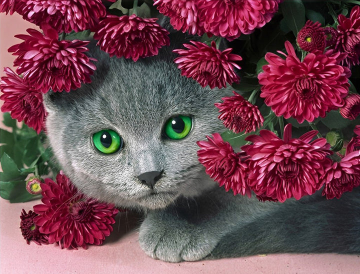 Een Grijze Kat in de Rode Bloemen Diamond Painting