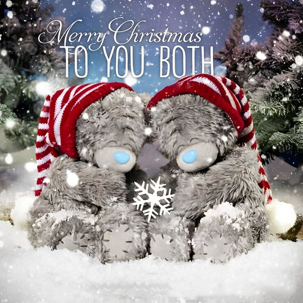 Een Grizzlybeer Knuffel met Kerstmuts Diamond Painting