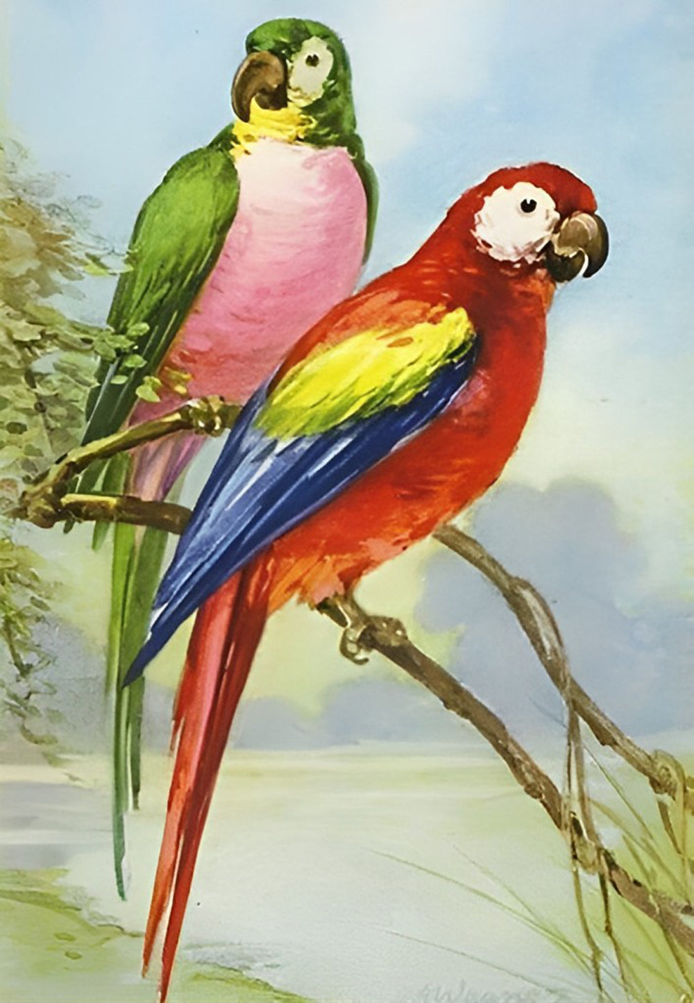 Een Groene en een Rode Papegaai Diamond Painting