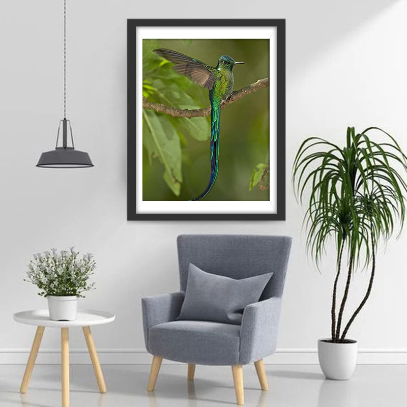 Een Groene Kolibrie met een Lange Staart Diamond Painting