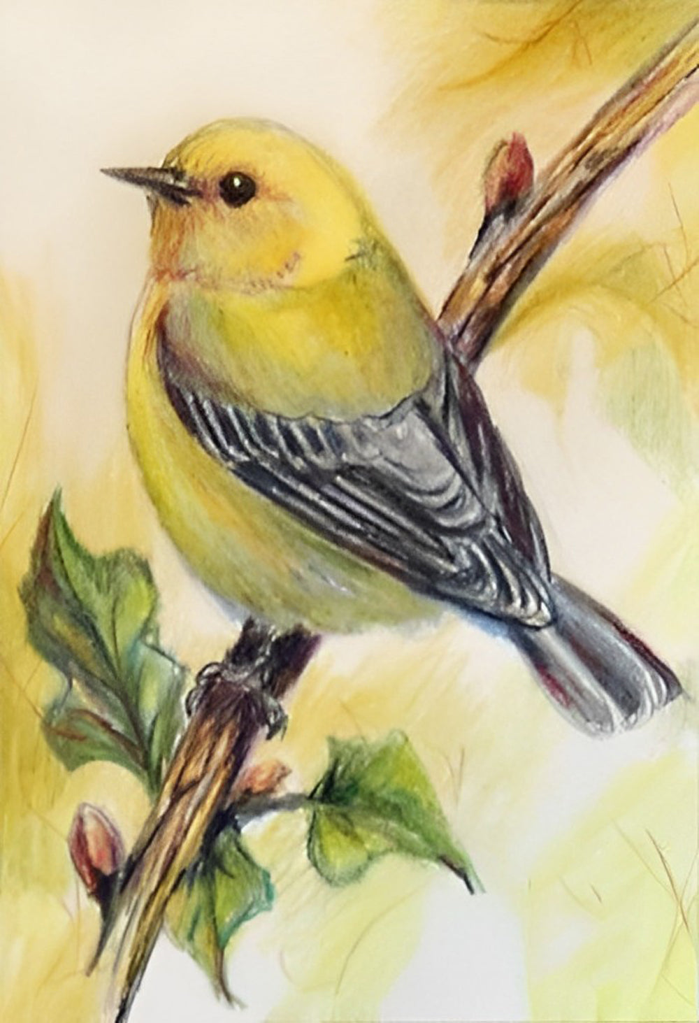 Een Groene Vogel in een Boom Diamond Painting