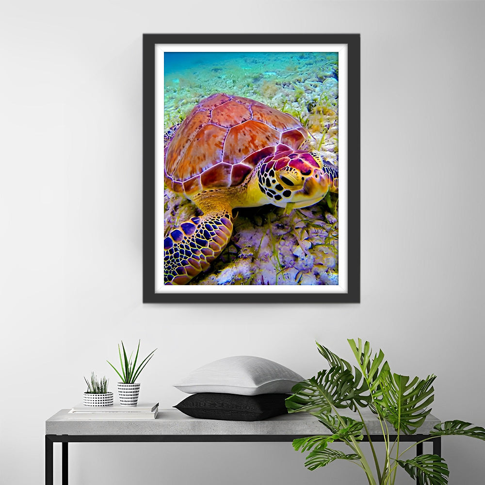 Een Grote Zeeschildpad Diamond Painting
