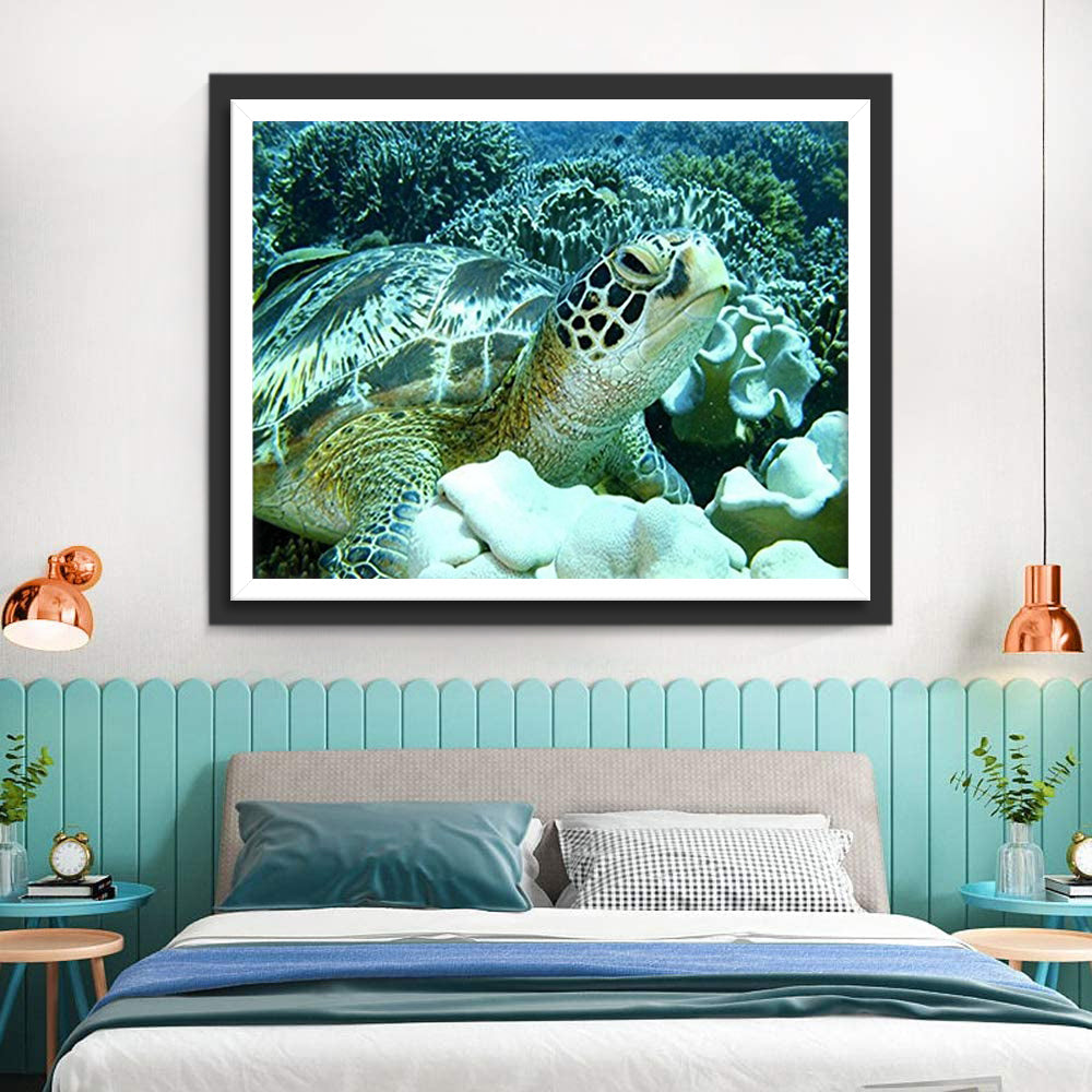 Een Grote Zeeschildpad in de Buurt van de Koralen Diamond Painting