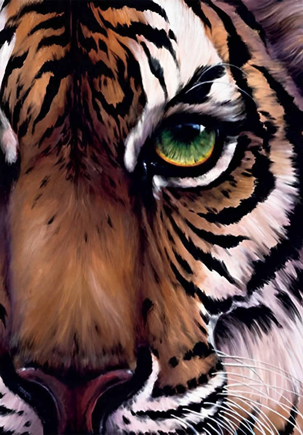 Een Half Tijgergezicht Diamond Painting