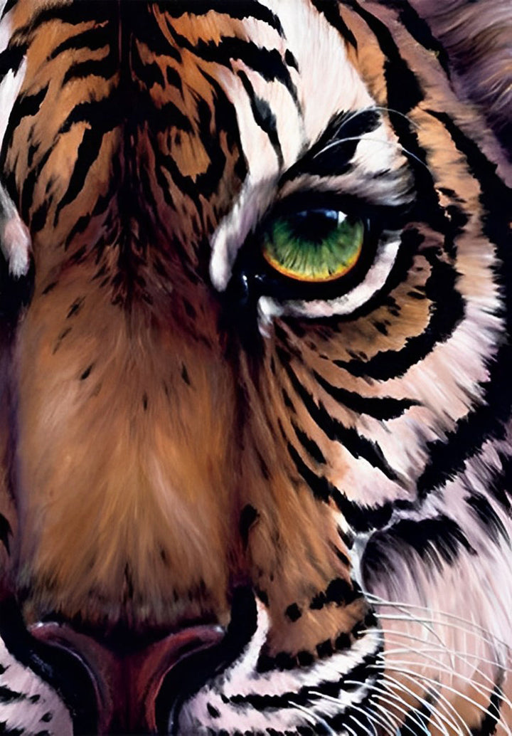 Een Half Tijgergezicht Diamond Painting