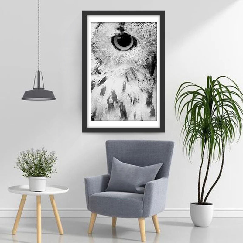 Een Halve Uil Diamond Painting