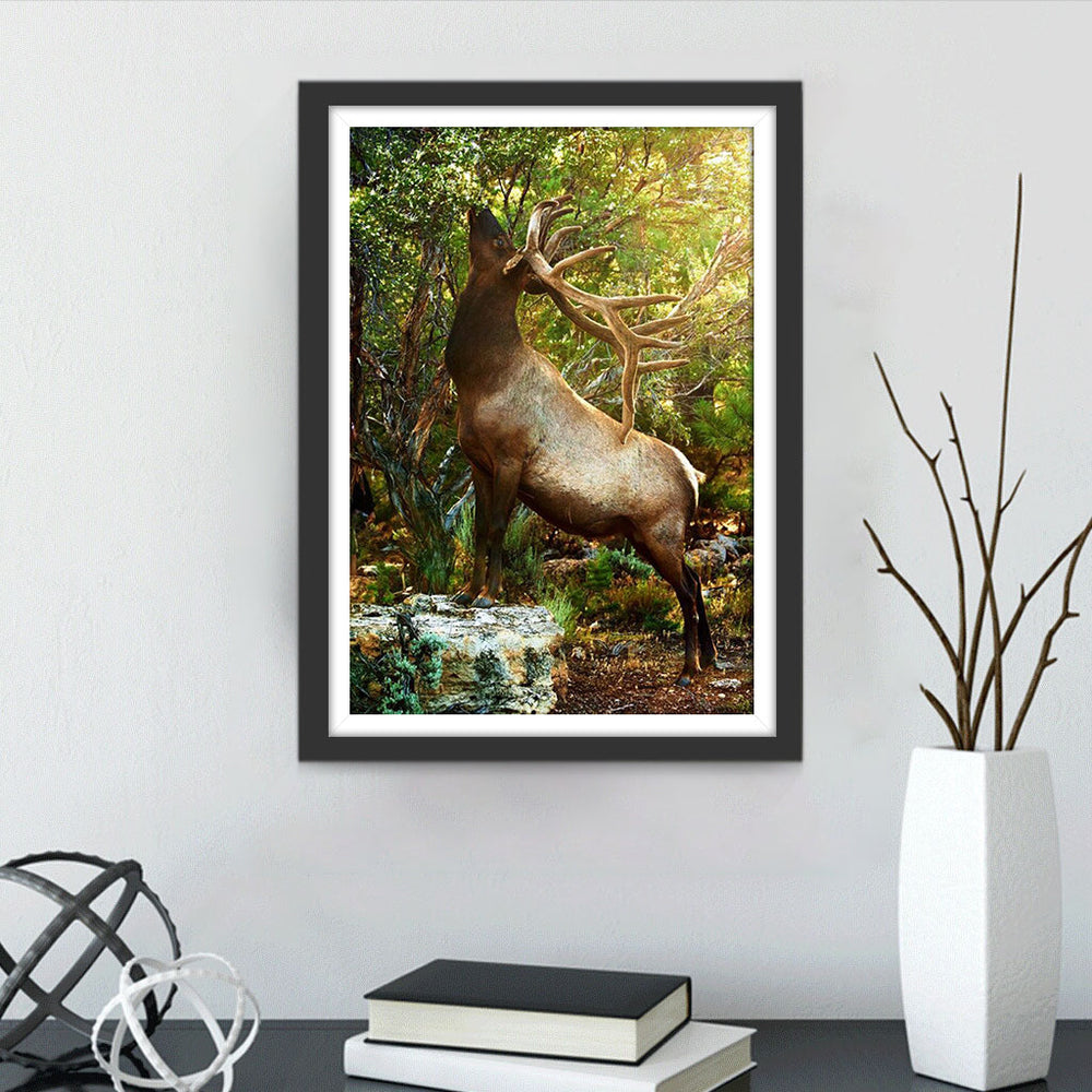 Een Hert eet Bladeren in het Bos Diamond Painting