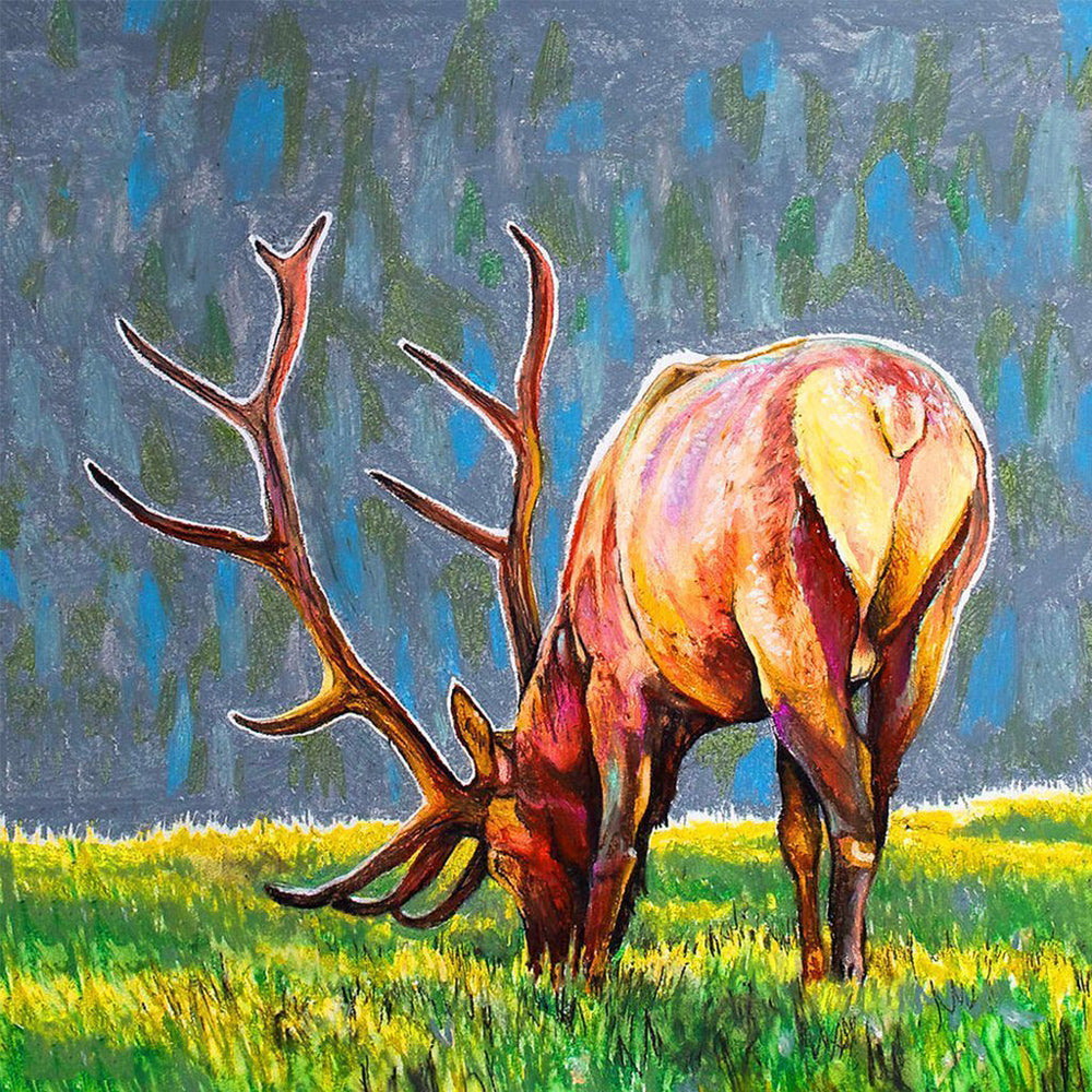 Een Hert in de Weide Diamond Painting