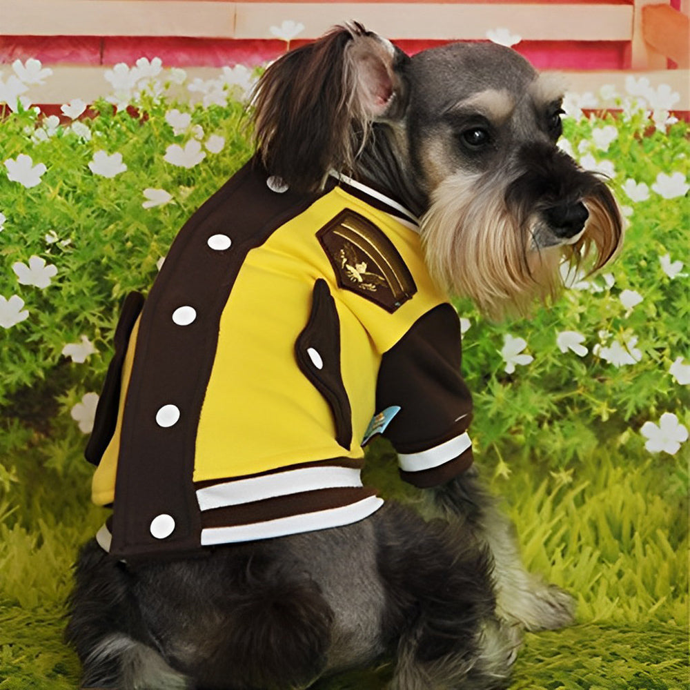 Een Hond in de Jas Diamond Painting