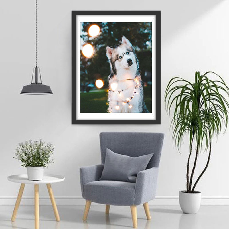 Een Husky met een Krom Hoofd Diamond Painting